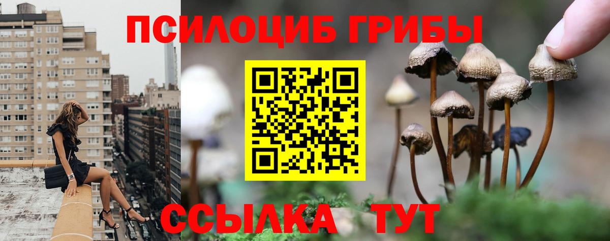Шахты  Галлюциногенные грибы Cubensis  Псилоцибиновые грибы прущие грибы  Вход с VPN 